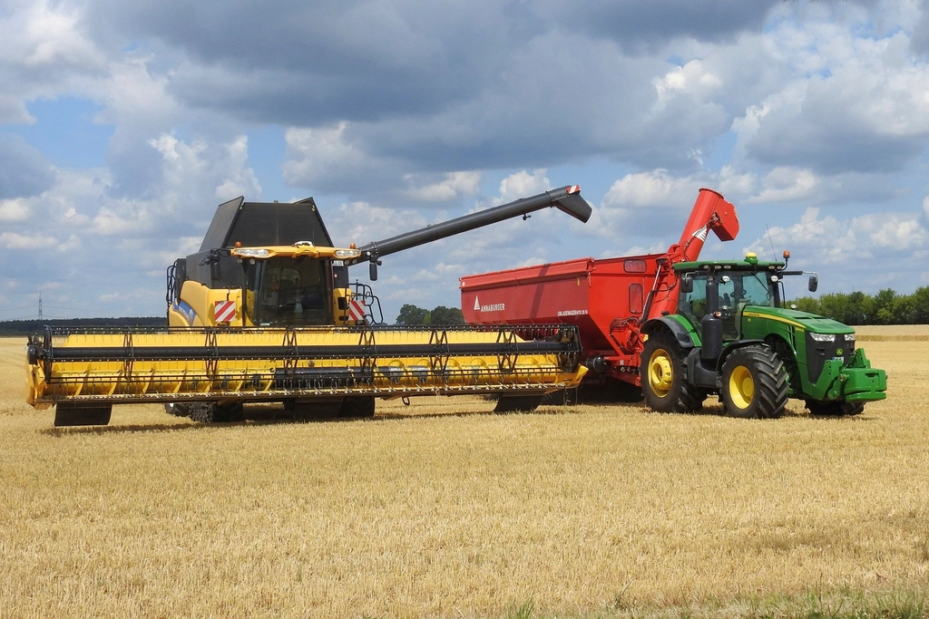 Combine harvester and tractor harvesting grain